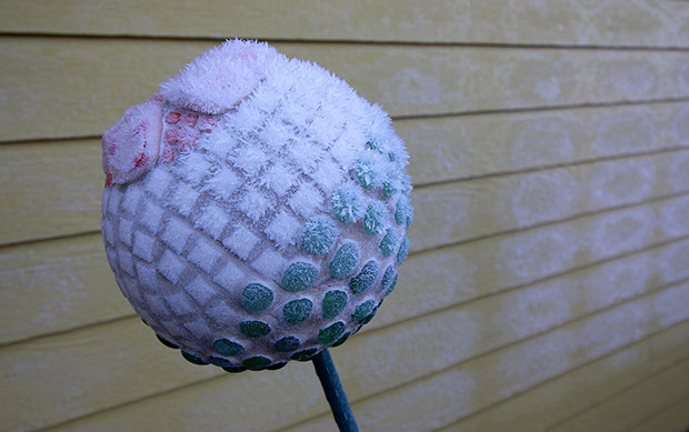 Frosty Ball - Vicki Dodge