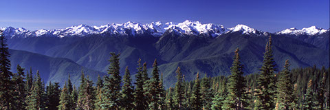 Mount Olympus - Mark Dodge