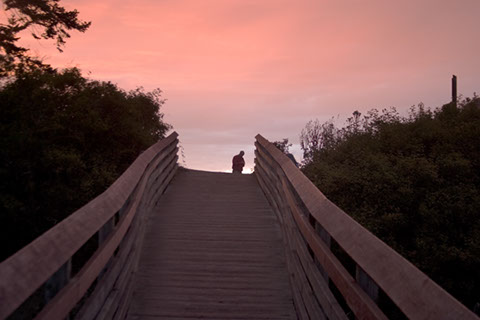 Other Side of Twilight - Vicki Dodge